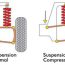 RC Suspension Tuning Guide – Bumpsteer